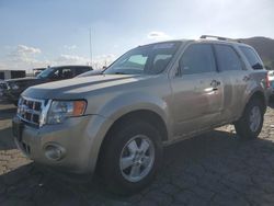 Ford Escape salvage cars for sale: 2012 Ford Escape XLT