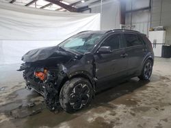 Salvage cars for sale from Copart North Billerica, MA: 2024 KIA Niro Wind