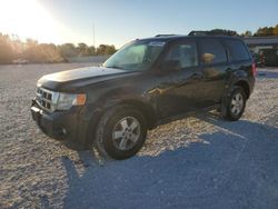 Ford salvage cars for sale: 2012 Ford Escape XLT