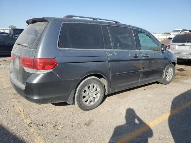 2010 Honda Odyssey EXL