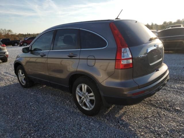 2010 Honda CR-V EXL