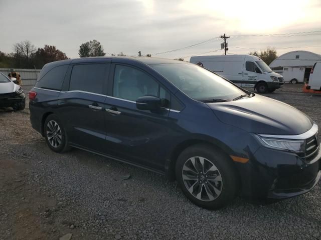 2024 Honda Odyssey EXL