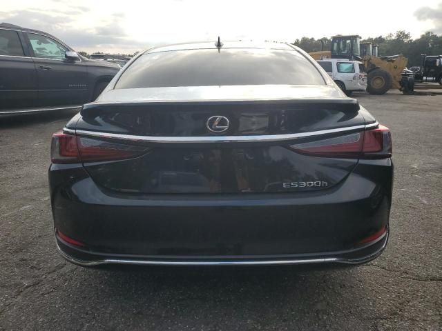 2024 Lexus ES 300H Base