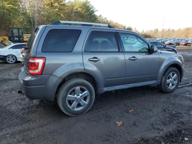 2012 Ford Escape Limited