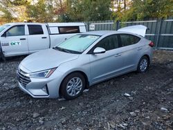 Hyundai Elantra salvage cars for sale: 2020 Hyundai Elantra SE