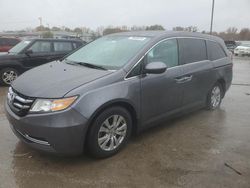 Honda Odyssey exl salvage cars for sale: 2016 Honda Odyssey EXL