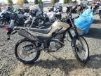 2019 Yamaha XT250