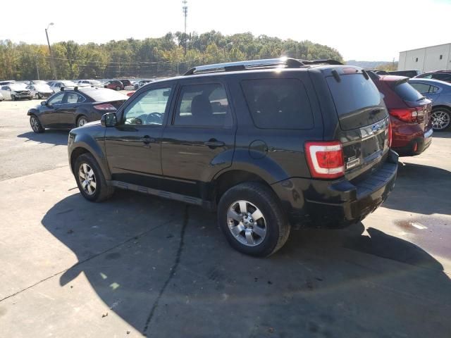 2011 Ford Escape Limited