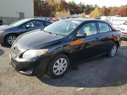 Toyota Corolla salvage cars for sale: 2010 Toyota Corolla Base