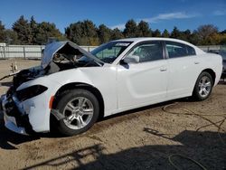 Dodge salvage cars for sale: 2022 Dodge Charger SXT