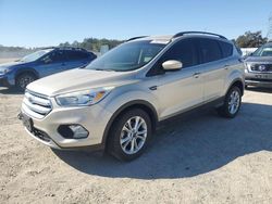 Ford Escape salvage cars for sale: 2018 Ford Escape SE