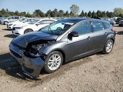 Ford Focus se salvage cars for sale: 2016 Ford Focus SE