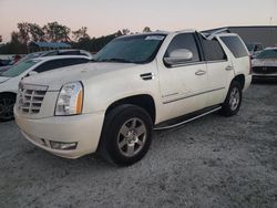 Cadillac Escalade salvage cars for sale: 2007 Cadillac Escalade Luxury