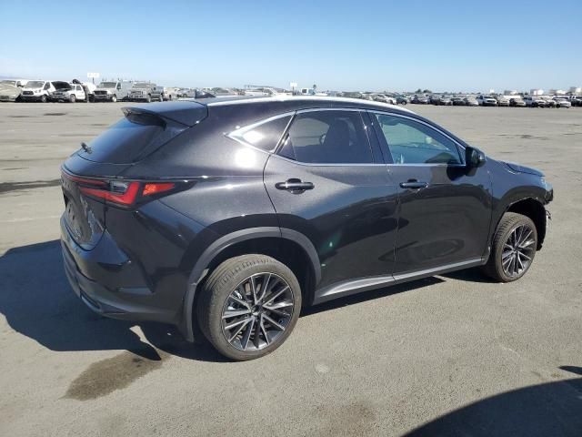 2024 Lexus NX 250 Base