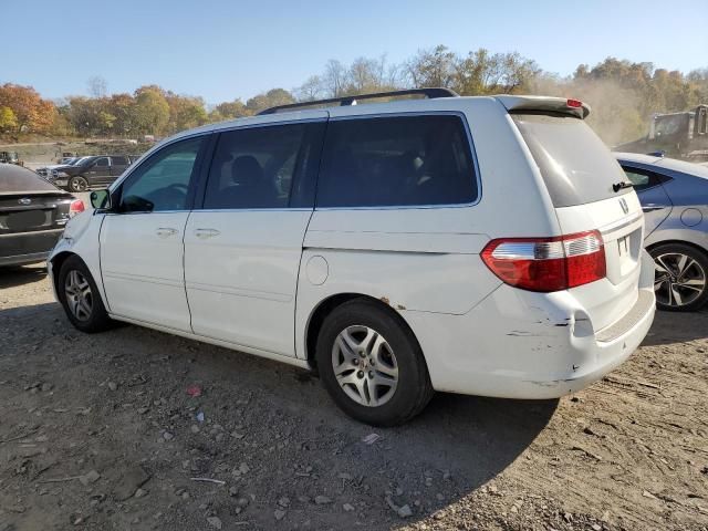 2005 Honda Odyssey Touring