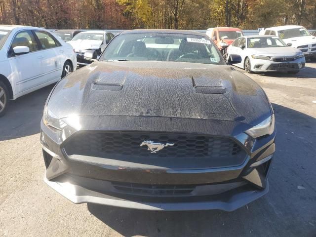 2019 Ford Mustang