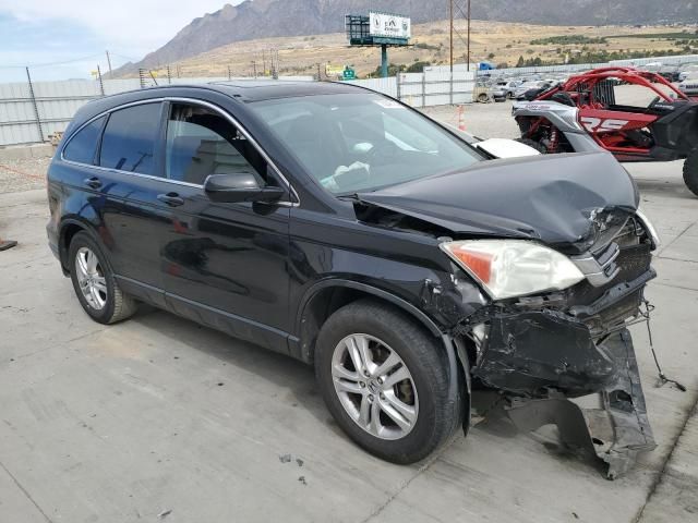 2010 Honda CR-V EXL