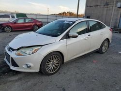 Ford Focus salvage cars for sale: 2012 Ford Focus SEL