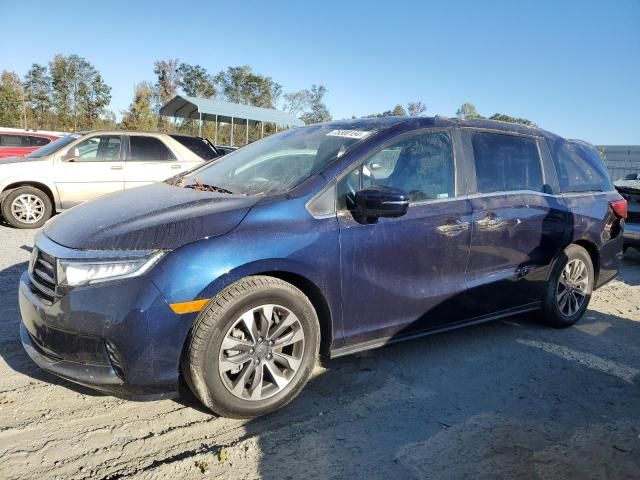 2022 Honda Odyssey EXL