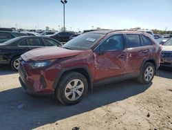 Toyota rav4 salvage cars for sale: 2021 Toyota Rav4 LE