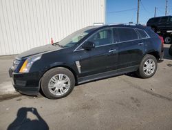 Cadillac salvage cars for sale: 2012 Cadillac SRX Luxury Collection