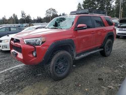 Toyota 4runner salvage cars for sale: 2019 Toyota 4runner SR5