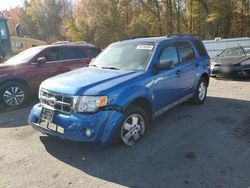 Ford Escape salvage cars for sale: 2012 Ford Escape XLT