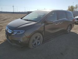 Honda Odyssey exl salvage cars for sale: 2018 Honda Odyssey EXL