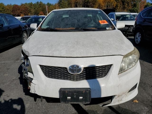 2009 Toyota Corolla Base