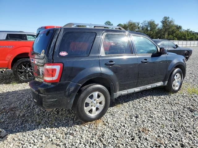 2011 Ford Escape Limited