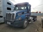 2014 Freightliner Cascadia 113