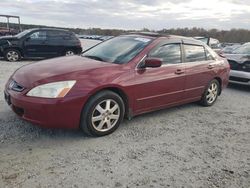 Honda salvage cars for sale: 2005 Honda Accord EX