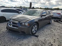 Dodge salvage cars for sale: 2014 Dodge Charger SE