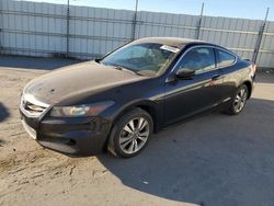 Salvage cars for sale from Copart Antelope, CA: 2011 Honda Accord EX