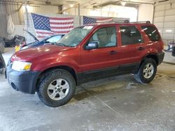 Ford Escape salvage cars for sale: 2007 Ford Escape XLT