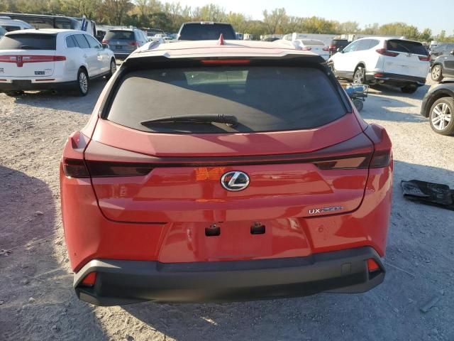 2020 Lexus UX 250H