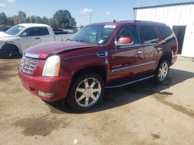 2010 Cadillac Escalade Luxury