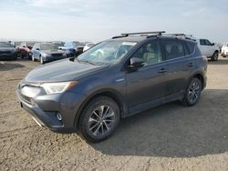 Toyota rav4 salvage cars for sale: 2016 Toyota Rav4 HV XLE