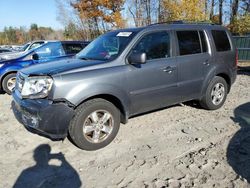 Honda Pilot salvage cars for sale: 2011 Honda Pilot EXL