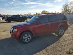 Salvage cars for sale from Copart London, ON: 2012 Ford Escape XLT