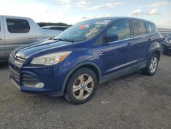 Ford Vehiculos salvage en venta: 2014 Ford Escape SE