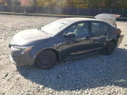 Vehiculos salvage en venta de Copart Waldorf, MD: 2023 Toyota Corolla LE