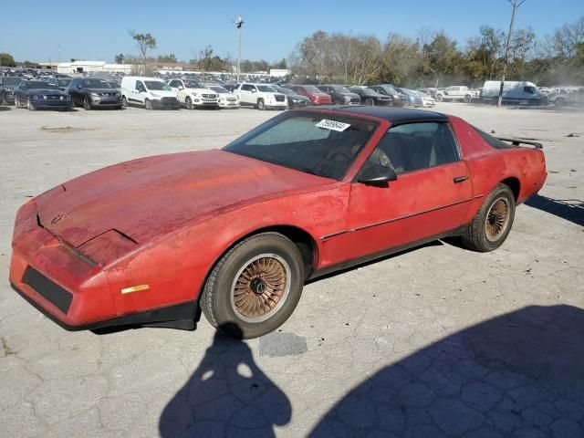 1983 Pontiac Firebird Trans AM