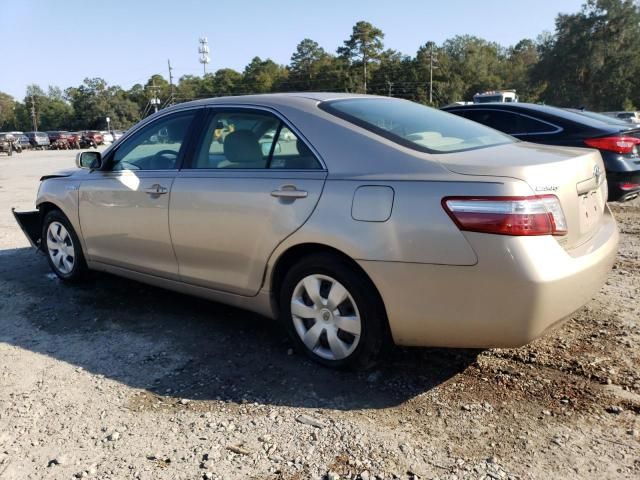 2009 Toyota Camry Hybrid