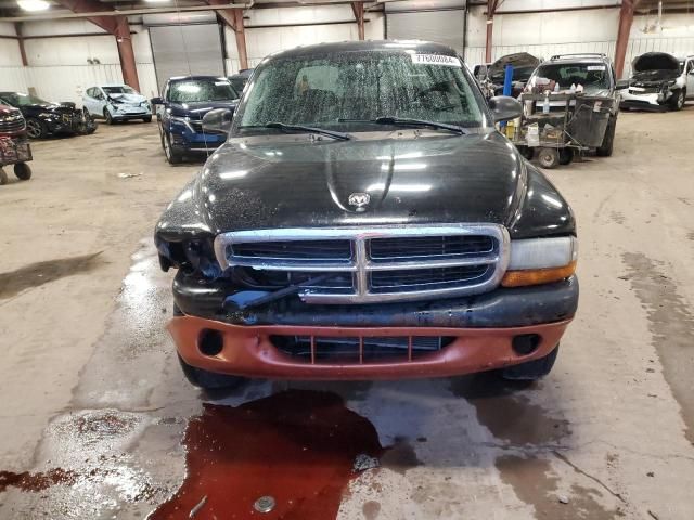 2004 Dodge Dakota Quad SLT