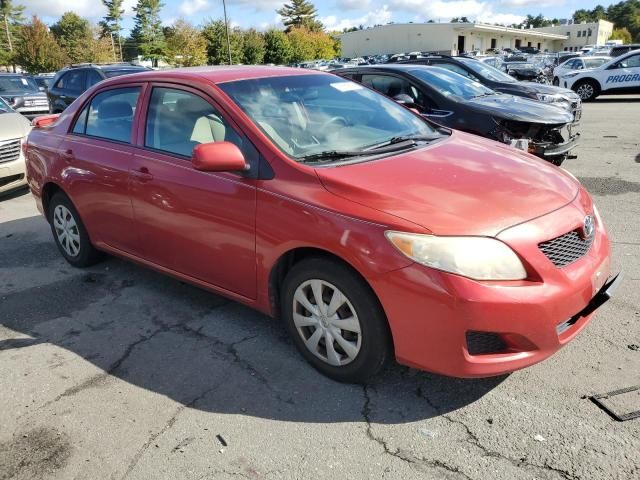 2010 Toyota Corolla Base