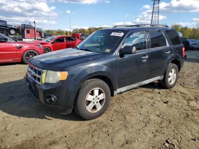 2010 Ford Escape XLT