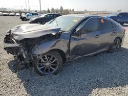 Honda Civic salvage cars for sale: 2020 Honda Civic EX