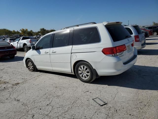 2009 Honda Odyssey EXL