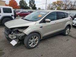 Ford Escape salvage cars for sale: 2017 Ford Escape SE